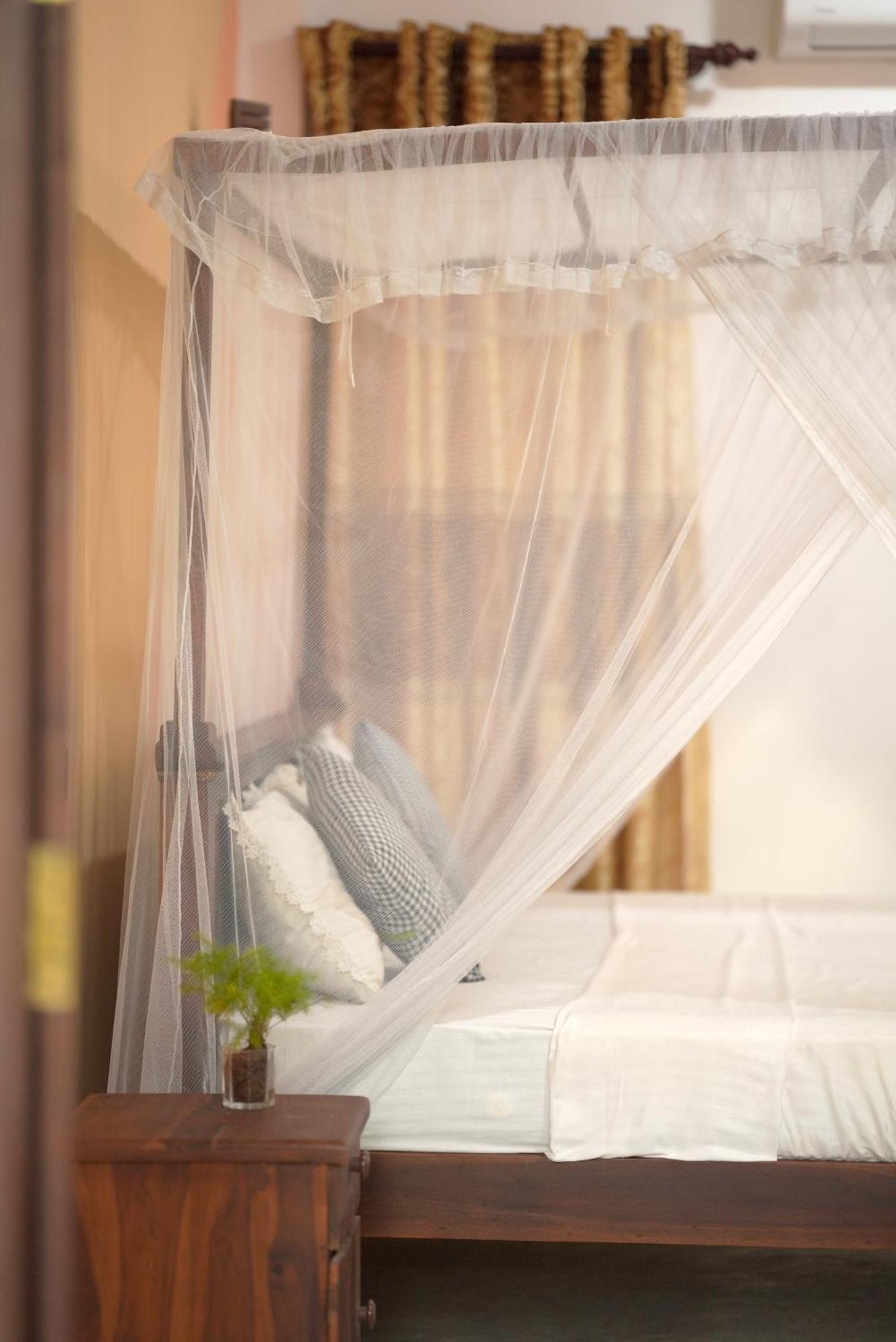 Surf Orchid Villa Weligama Eksteriør billede