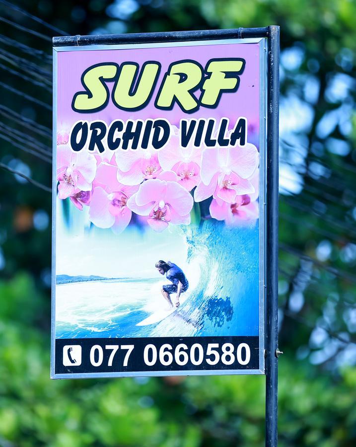 Surf Orchid Villa Weligama Eksteriør billede